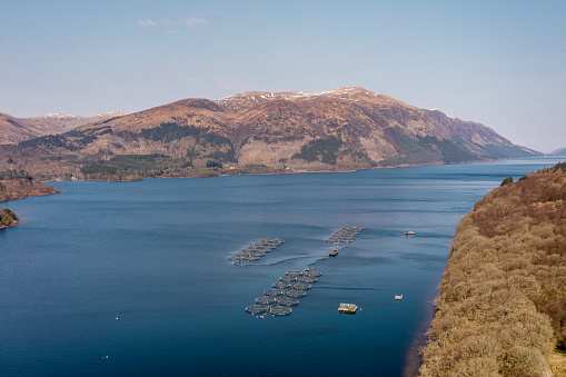 A large scale industrial aquaculture system for managing salmon and trout in a loch in the highlands of Scotland. The fish farms are used for sustainable food production.