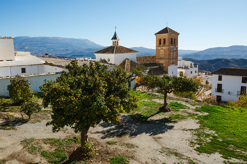 fruit trees in the village of Valor in the Alpujarra of Granada with the church in the background