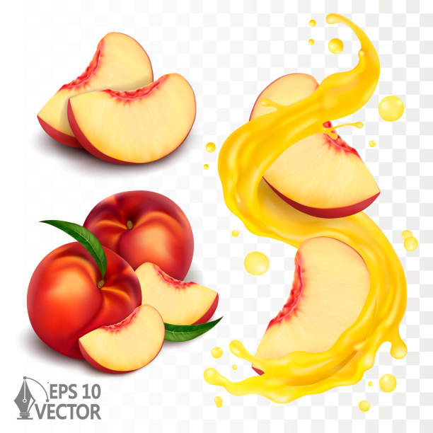 illustrations, cliparts, dessins animés et icônes de nectarine, pêche, collection de fruits. sertir de tranche et d’éclaboussures, faire tourbillonner le jus de vitemine transparent et frais. icône vectorielle réaliste en 3d - nectarine