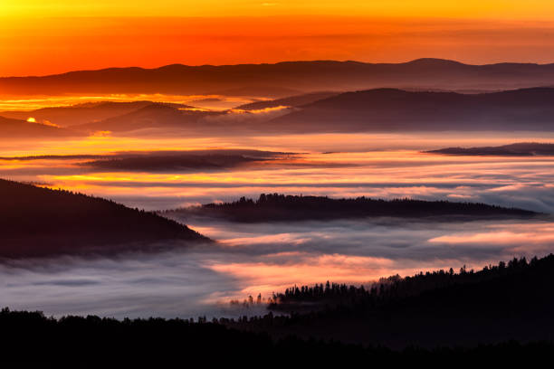 Bieszczady National Park, the Carpathians, Poland: Sunrise from the viewpoint at Polonina Wetlinska. Dark, foggy forest at sunrise. The trees in the back light. Bieszczady National park, the Carpathians, Poland bieszczady mountains stock pictures, royalty-free photos & images