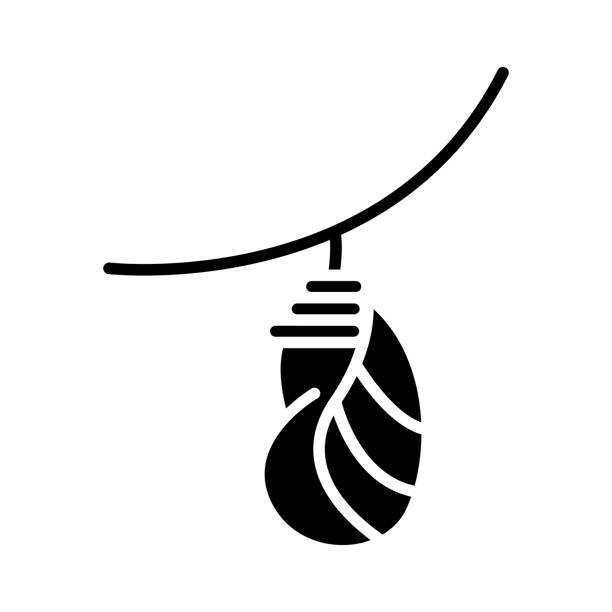 Cocoon Glyph Icon Animal Vector This vector image shows a cocoon in glyph icon design. It is isolated on a white background. pupa stock illustrations