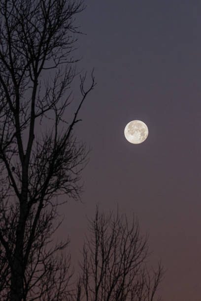 istock full moon above the trees, one morning in Provence 1359999306