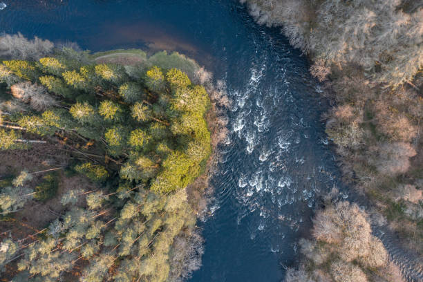 istock Lush Forests and a River in the Evening Aerial View 1360001381