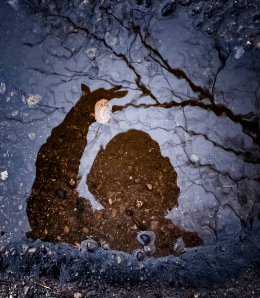 Reflection of girl shadow in driveway touching a stone that looks like the moon.