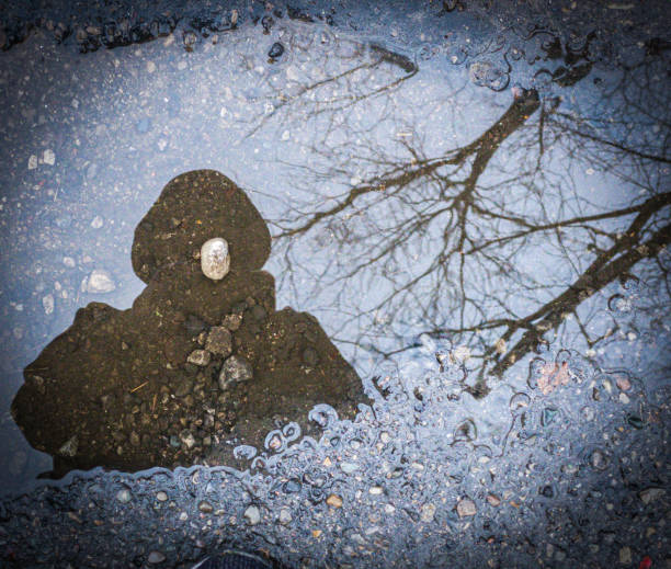 Reflection photo of girl’s shadow in driveway puddle with trees, touching white stone that looks like the moon