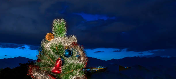istock Decorative Christmas tree with evening sky as background 1360007354
