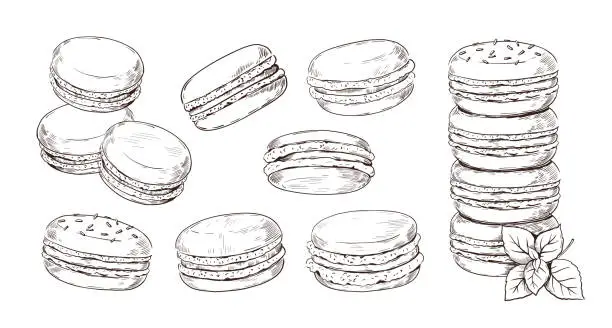 Vector illustration of Hand drawn macaron. French biscuit dessert of almond flour. Vintage macaroon etching. Restaurant and cafe pastry. View from different edges and stack of cookies. Vector bakery sketches set