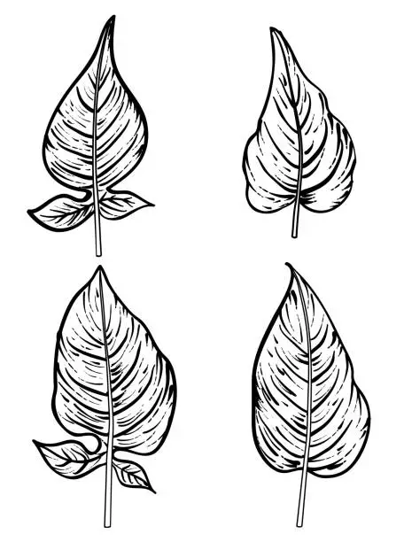 Vector illustration of Engraving Style Set Of Leaves On A Transparent Background