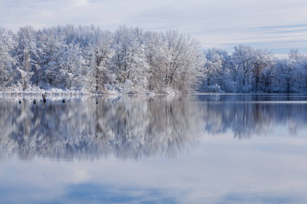 reflexiones de invierno jackson hole lake - flocked fotografías e imágenes de stock