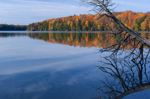 istock Autumn Reflections Pete's Lake 1360012548