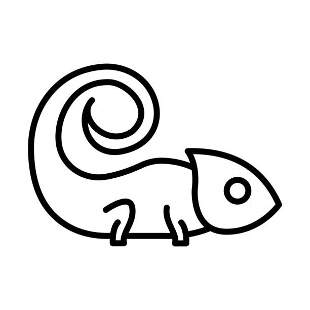 Chameleon Outline Icon Animal Vector This vector image shows a chameleon in outline icon design. It is isolated on a white background chameleon icon stock illustrations