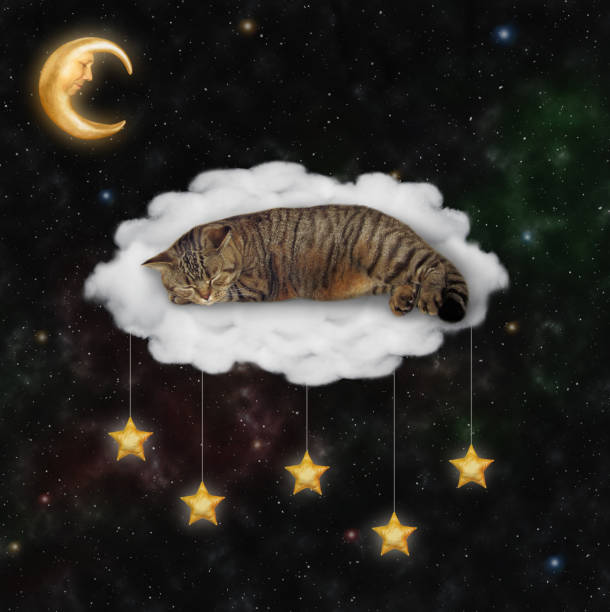 istock Cat in sleep mask sleeps on cloud bed 1360014046