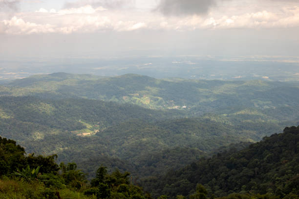 istock View of mist forest mountain and sky 1360015751
