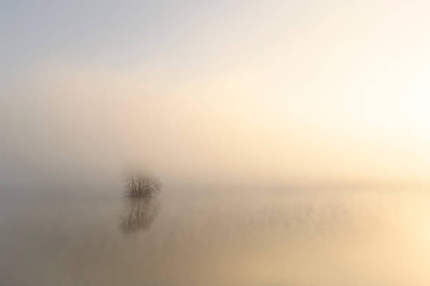 istock Mist rising up from the river IJssel during a cold winter morning 1360016730