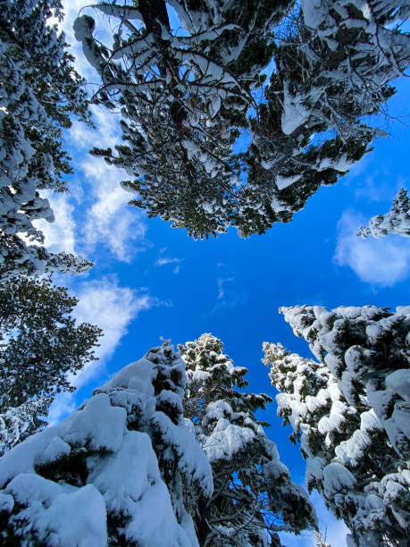 Beautiful, peaceful photographs of Lake Tahoe and surrounding regions. Winter landscapes on the shores of Lake Tahoe
