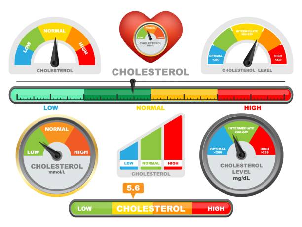 Cholesterol meter, color scale with arrow, vector isolated illustration. Low, normal and high level measuring device. Cholesterol meter, color scale with arrow, flat vector isolated illustration. Low, normal and high cholesterol level measuring device. colesterol stock illustrations