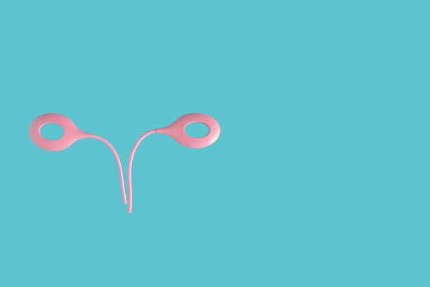 women uterus made of pink color reading lamp on a light blue background with copy space. female reproductive health minimal concept. awareness of uterus illness. - menstruation tampon gynecological examination sex imagens e fotografias de stock