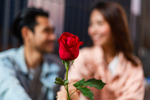 Focus on flower with happy smile Asian couple holding rose, man and woman having romantic dating on Valentine's, Anniversary or birthday, Marriage proposal and engagement with love together concept