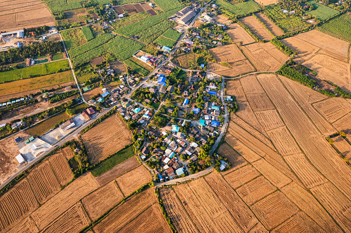 Aerial view of suburban village among harvested paddy fields with thoroughfare in countryside