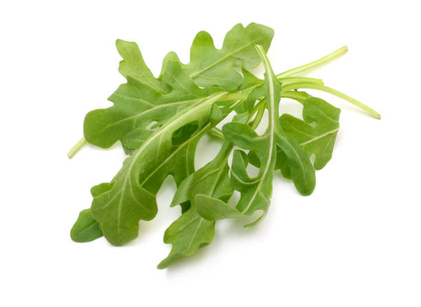 istock Baby arugula leaves 1360024145