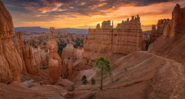 Bryce Canyon National Park with sunset Bryce Canyon National Park with sunset fruita colorado stock pictures, royalty-free photos & images
