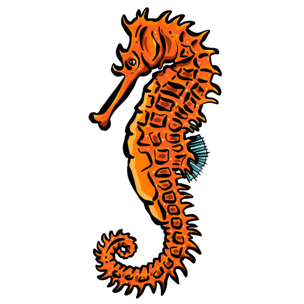 istock Seahorse Cartoon Illustration Logo Sea Creature 1360030522