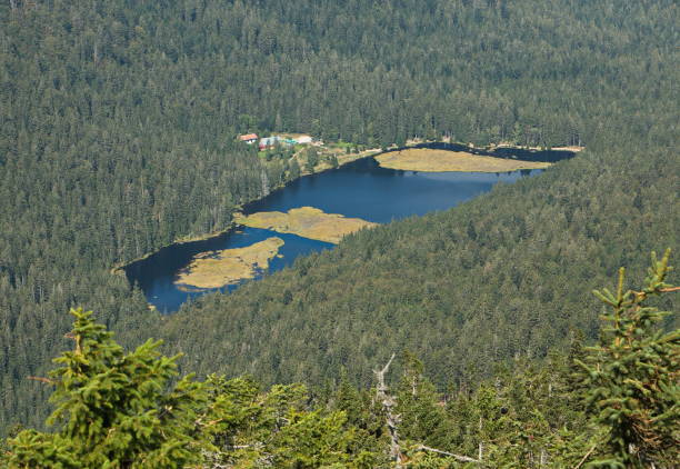 720+ Fotos, Bilder und lizenzfreie Bilder zu Arber iStock