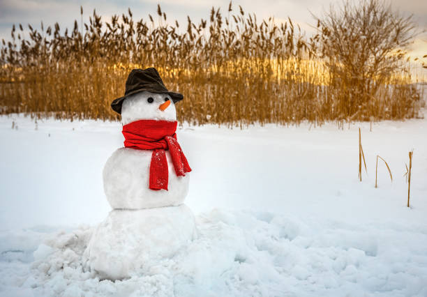 Happy Snowman in Christmas Season