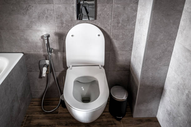 istock Modern toilet interior designed in gray 1360033191