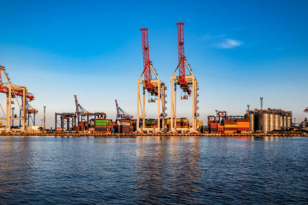 istock cranes and containers in the seaport 1360033304