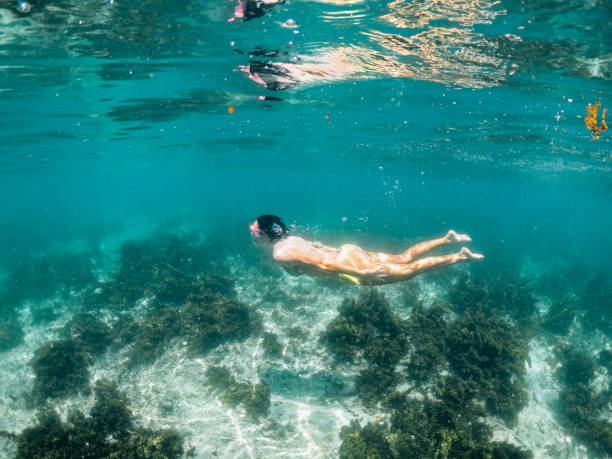 istock Woman swimming in Mauritius 1360036469