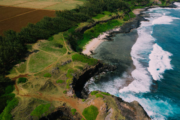 istock Coastline on the indian ocean in Mauritius island 1360037037