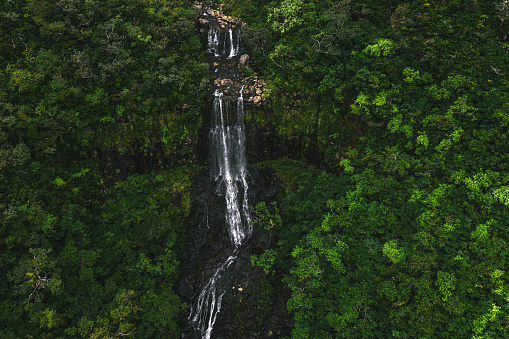 Wild nature in Mauritius Island, waterfall in the forest