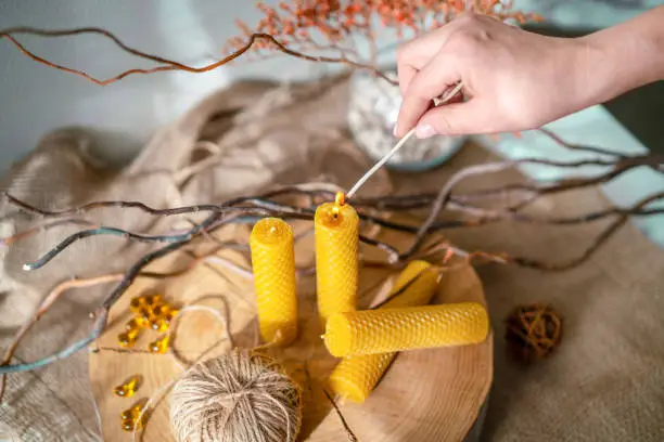 Composition with handmade wax candles, decorative branches on wooden cut. Woman's hand lights candles. Excellent decor for home comfort and romantic setting.