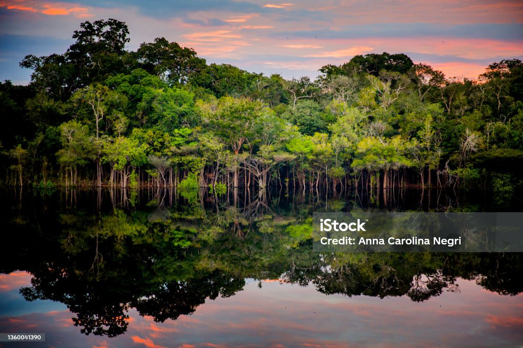 Amazon - Black River Amazon rainforest. In the photo: Rio Negro, located in the state of Amazonas. Amazon Region Stock Photo