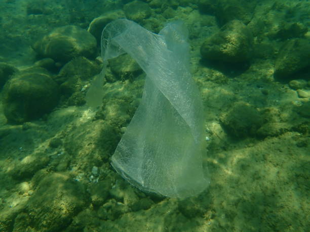 istock Plastic garbage underwater, Aegean Sea, Greece, Halkidiki. Sea pollution. 1360041431