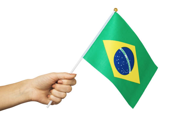 Hand holds Brazilian flag isolated on white background, template for designers stock photo