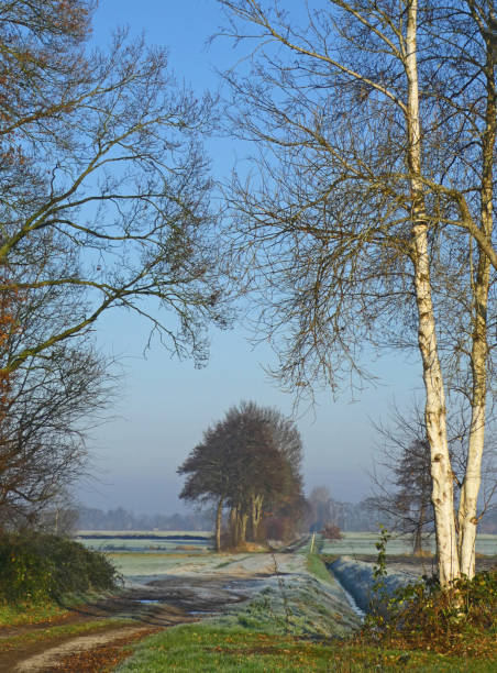 istock A dirt track on a winter morning 1360046060