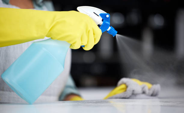 istock Shot of a woman using a spray bottle and cloth while cleaning a counter 1360051247