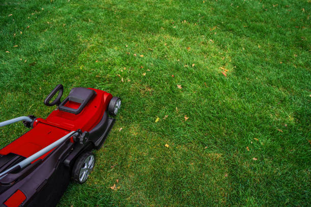 istock Red electric lawn mower on a green lawn. 1360054383