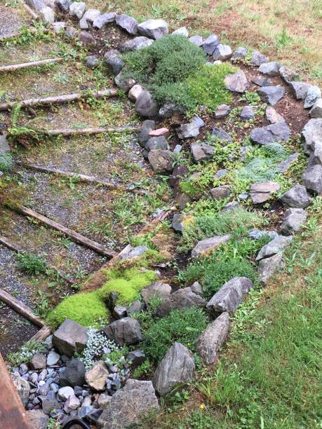 istock Asymmetrical Garden Stairway 1360055192