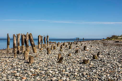 A stone stack at a tree stump at Dungeness Spit, Olympic Peninsula, WA, USA