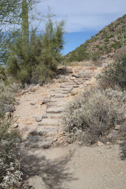 istock Arizona/desert landscape 1360064484