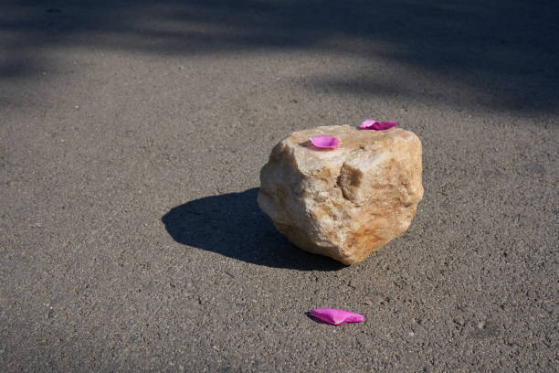 un podio in pietra beige con petali di fiori rosa per dimostrare il tuo prodotto sull'asfalto - russia non urban scene brown green foto e immagini stock
