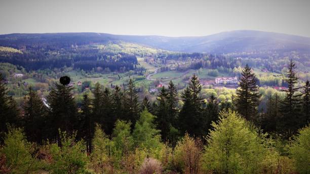 istock View of mountains and trees. 1360068536