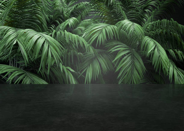 istock Background with tropical plants for product, cosmetic presentation. 3D rendering. Creative mock up. Natural empty scene for beauty products. 1360070789
