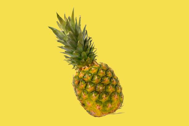 istock Pineapple fruit isolated on pastel background. Creative layout made of pineapple. Flying food. Food concept 1360073231
