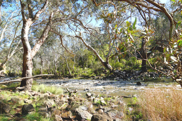 istock Hamilton,  Victoria, Australia 1360073249