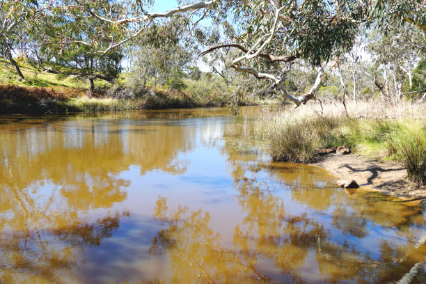 istock Hamilton,  Victoria, Australia 1360073278