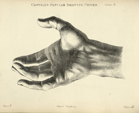 Vintage illustration of Sketching human hand, open palm, wrist, Victorian art figure drawing copies 19th Century